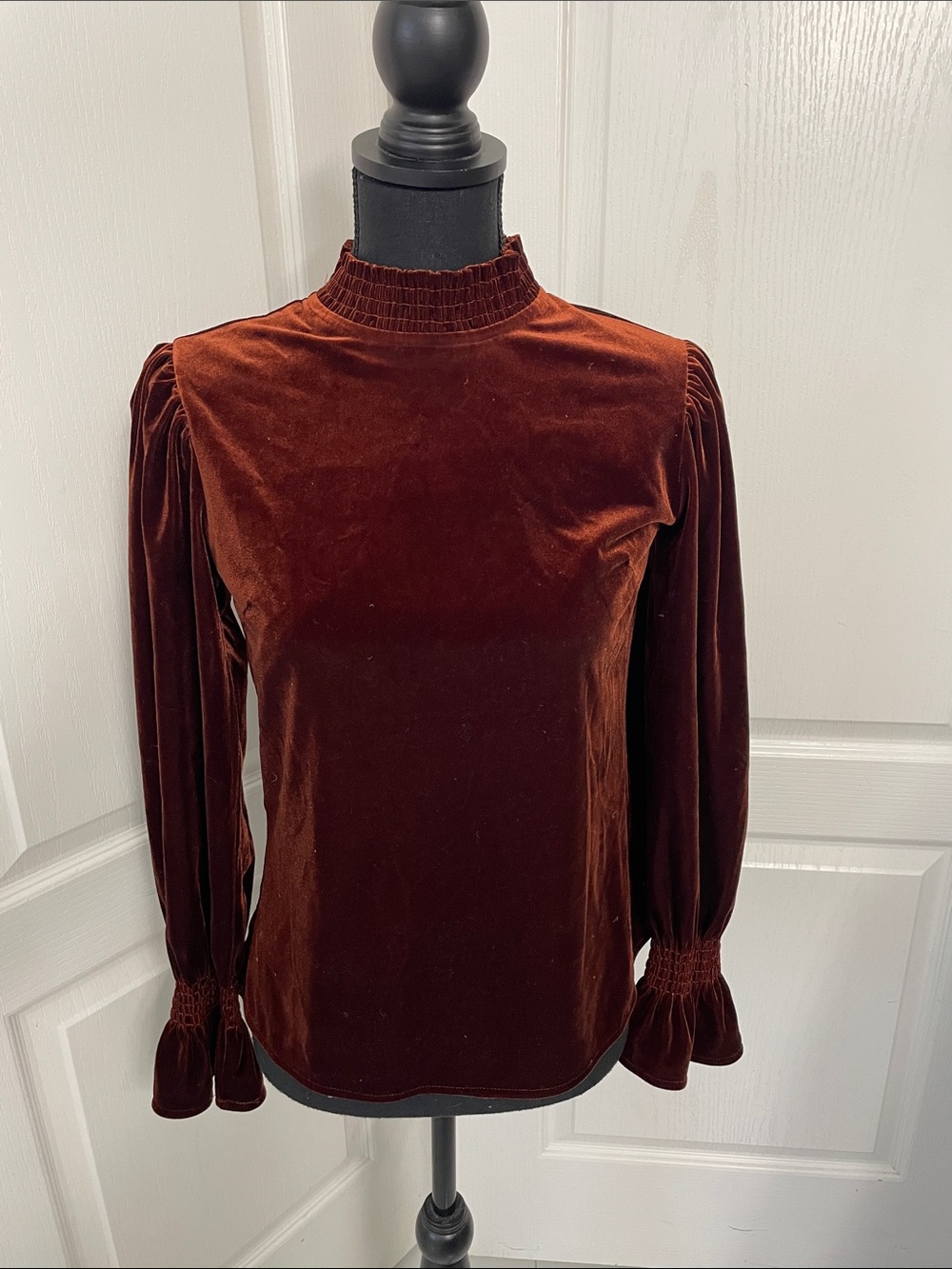 Roolee velour top puffed sleeves rusty brown S like new
